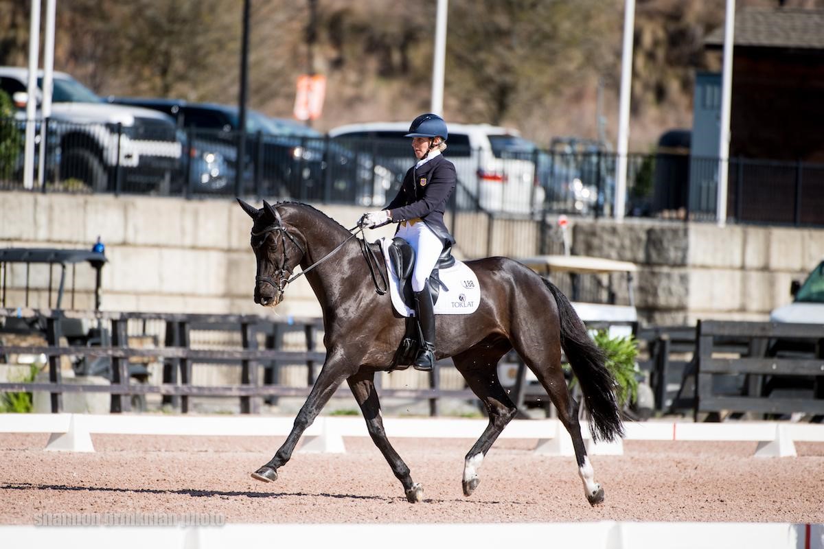 The Fork at Tryon International Equestrian Centre - Dressage | An Eventful  Life