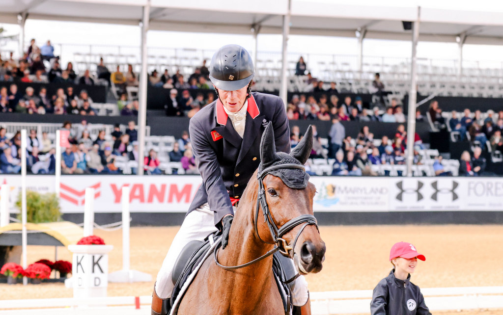 William Fox-Pitt’s CCI5* eventing horse Grafennacht top graded mare at SHB (GB) Mare & Foal Gradings 2023 | Gemini Stud takes top two national foal gradings | An Eventful Life