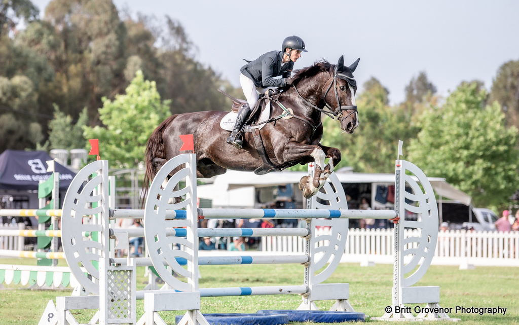 Emma Mason rides KPH Kingfisher in the CCI4*-S eventing showjumping at Equestriad Eventing at Camden, November 2024 | An Eventful Life