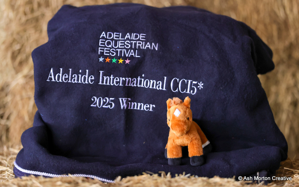 Willingapark Clifford's 5* winning rug and 'Clifford - the 5 Star Fundraising Pony’ launched by Adelaide Equestrian Festival | An Eventful Life