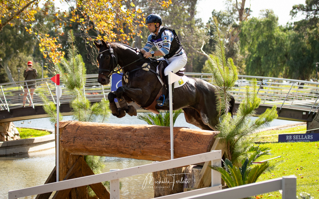 Shane Rose rides The Bandit in the CCI5* eventing at Adelaide Equestrian Festival 2025 | An Eventful Life