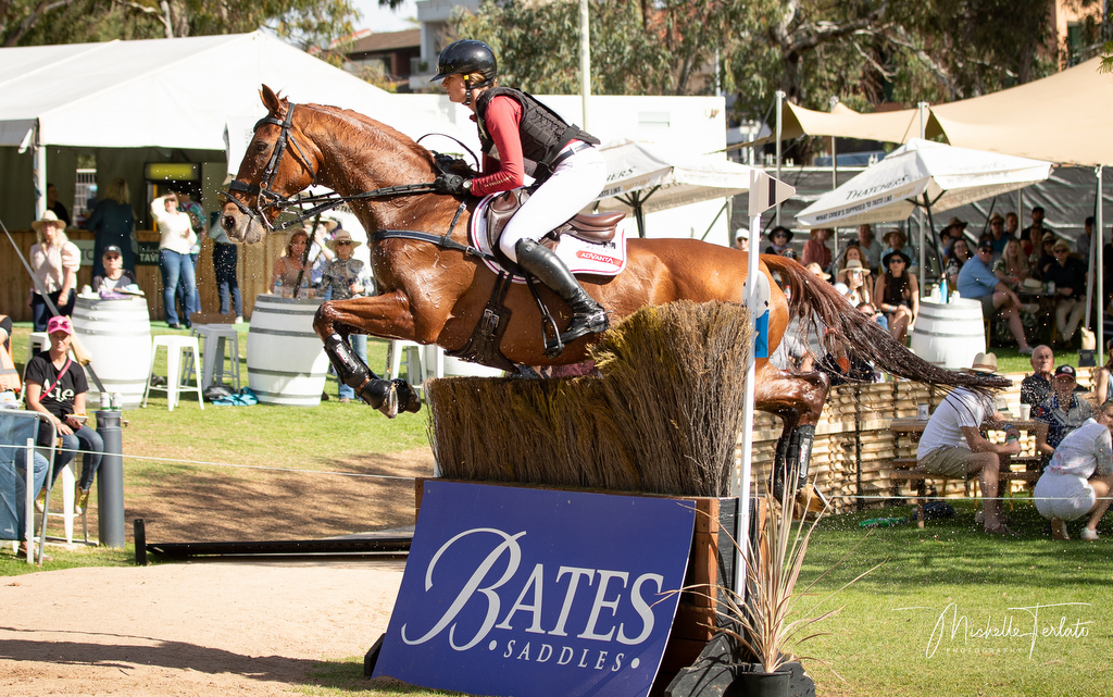 Hazel Shannon rides Willingapark Clifford on cross country for the CCI5* eventing at Adelaide Equestrian Festival 2025 | An Eventful Life