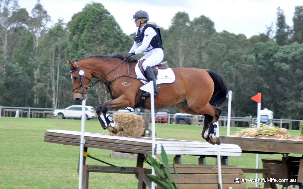 Judy Clarke rides Oaks Quasimodo during the cross country for the CCI3*-S eventing at Equestriad CCI Horse Trials May 2025 at Bicentennial Park, Camden | Watch cross country video by An Eventful Life