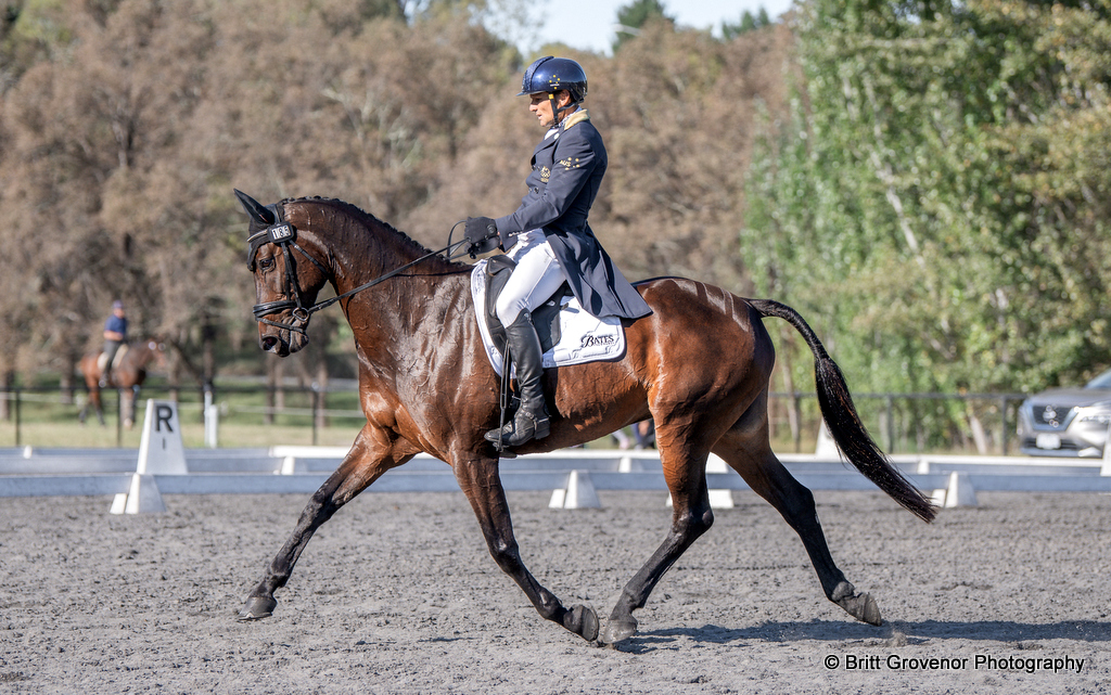 Shane Rose rides Easy Turn in the dressage of the CCI4*-S eventing at Canberra International Horse Trials 2025 | An Eventful Life