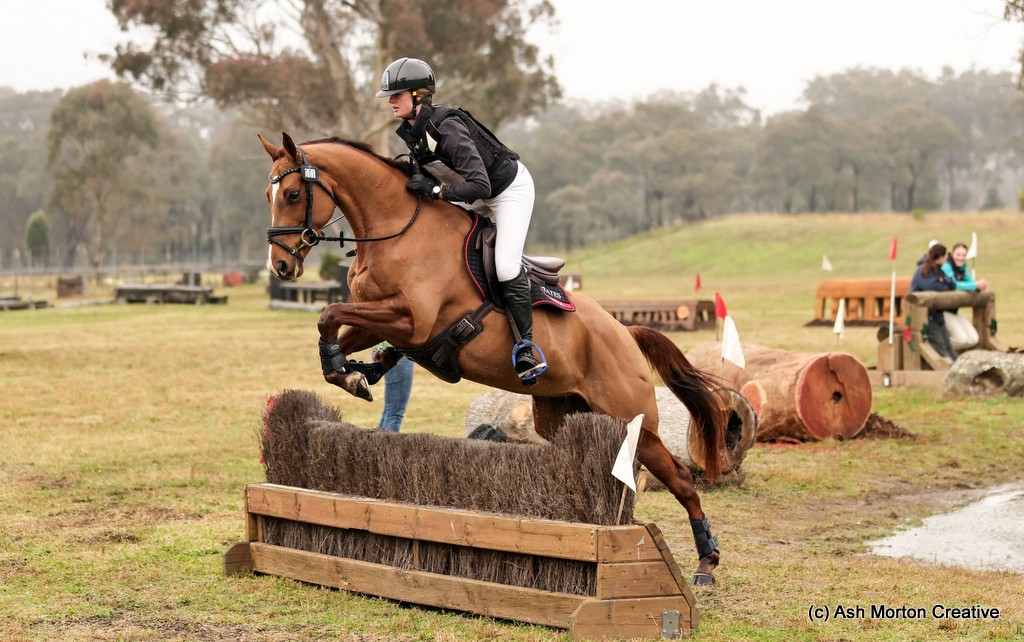 Hazel Shannon rides Callisto on cross country to win the EvA65 eventing at Denman Horse Trials 2025 | An Eventful Life