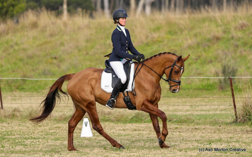 Hazel Shannon rides Callisto in the dressage for the EvA65 eventing at Denman Horse Trials 2025 | An Eventful Life