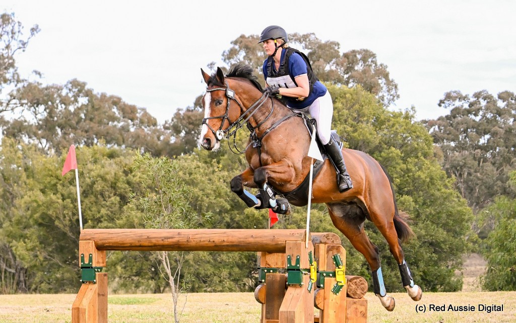 Stephanie Bender rides APH Eclipse on cross country to win the CCN1* eventing at Denman Horse Trials 2025 | An Eventful Life