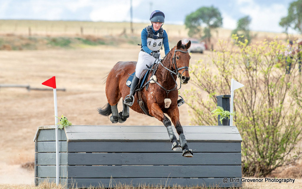 Edie Hawke riding GE Dublin on cross country for the CCN1* eventing at Harden Horse Trials May 2025 | An Eventful Life