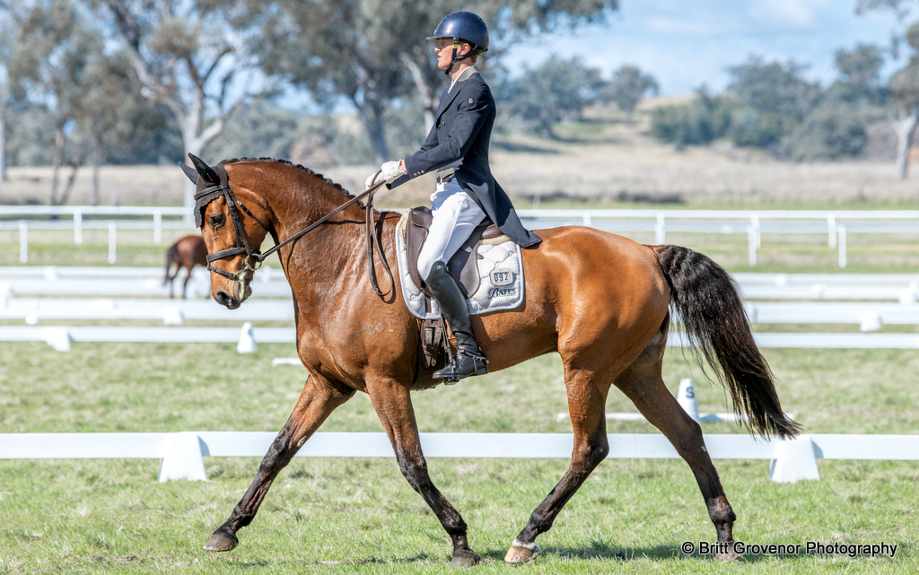Oliver Barrett rides Sandhills Briar during dressage for the CCI4*-S eventing at Quirindi CCI Horse Trials, August 2025 | An Eventful Life