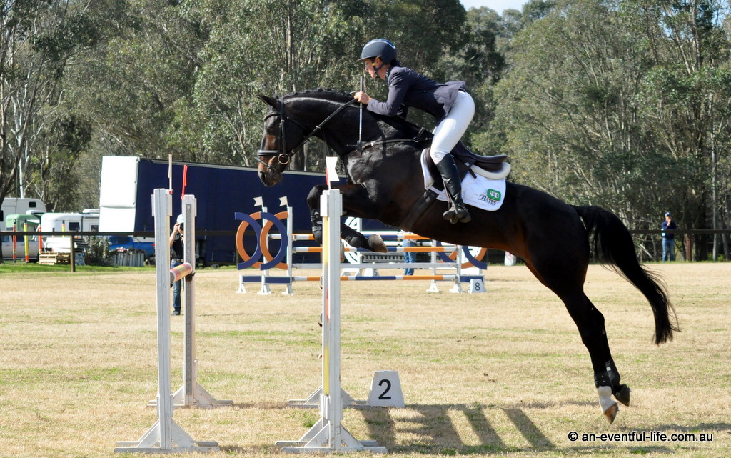 Catie Herbert rides Wimborne Constable in the CCN4* showjumping at the Sydney Eventing Spring Classic 2025 at Sydney International Equestrian Centre | An Eventful Life
