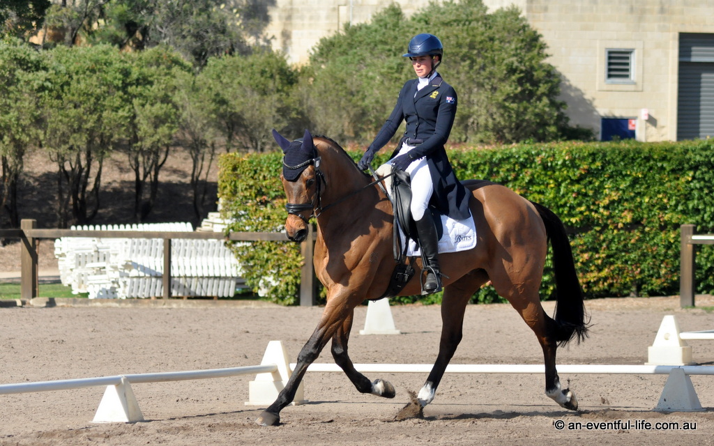 Shenae Lowings rides Bold Venture in the CCN4* dressage at the Sydney Eventing Spring Classic 2025 at Sydney International Equestrian Centre | An Eventful Life