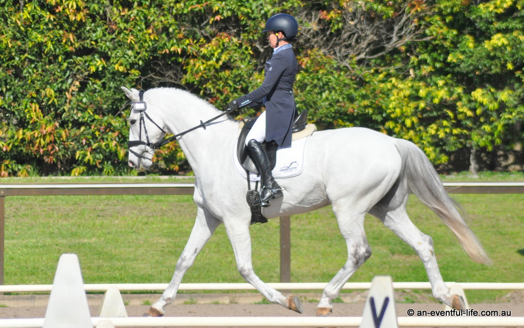 Emma Bishop rides Bobby Dazzler in the CCN3* dressage at the Sydney Eventing Spring Classic 2025 at Sydney International Equestrian Centre | An Eventful Life