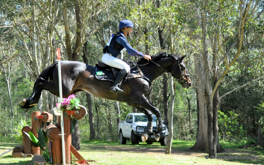Catie Herbert rides Wimborne Constable on cross country for the CCN4* at the Sydney Eventing Spring Classic 2025 at Sydney International Equestrian Centre | An Eventful Life