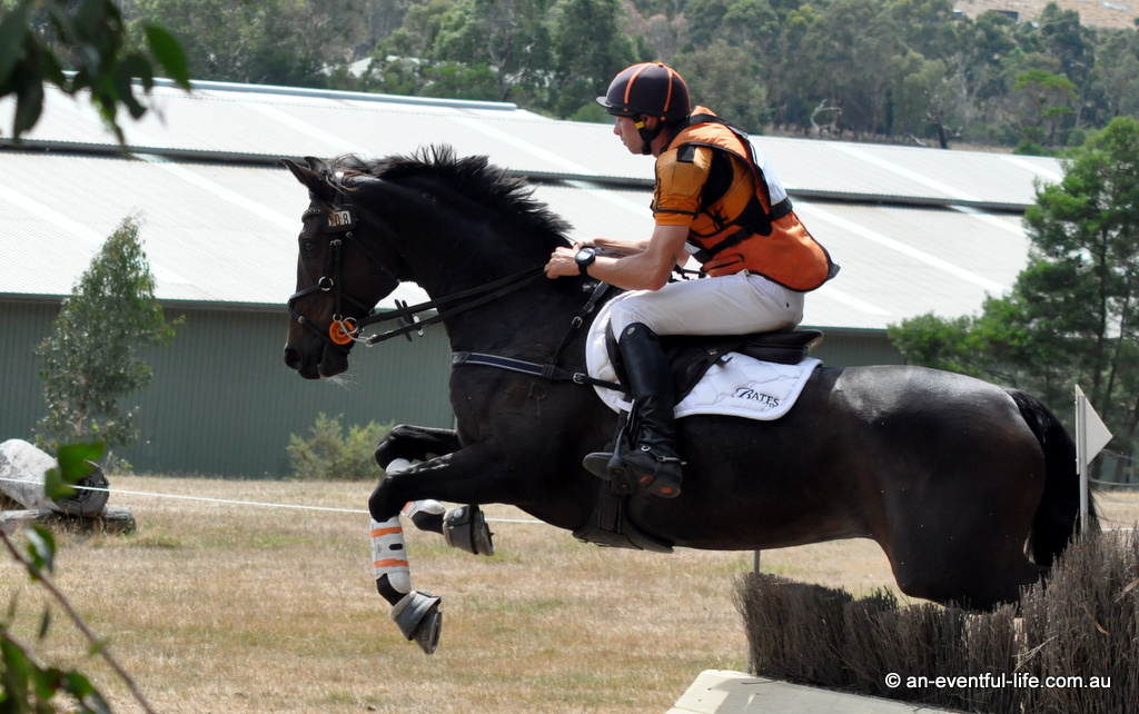 Sam Jeffree rides Santoro on cross country in the CCI4*-S eventing at Tonimbuk International Horse Trials 2025 | An Eventful Life
