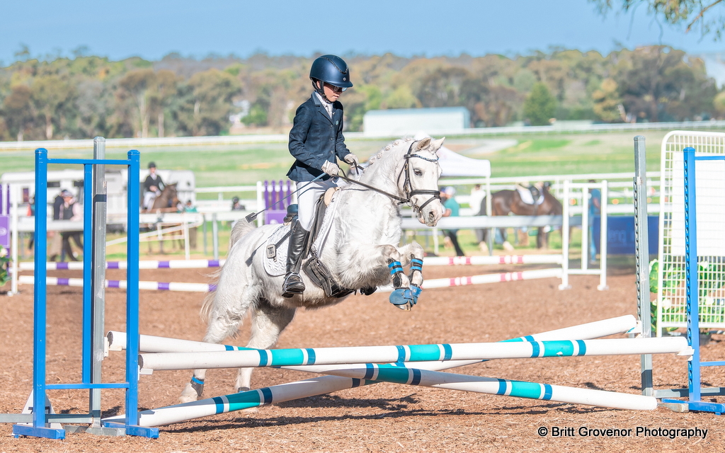Nicholas French rides Rupert GP in the showjumping for the EvA50 eventing class at REA Wagga Horse Trials at Narrandera 2025 | An Eventful Life