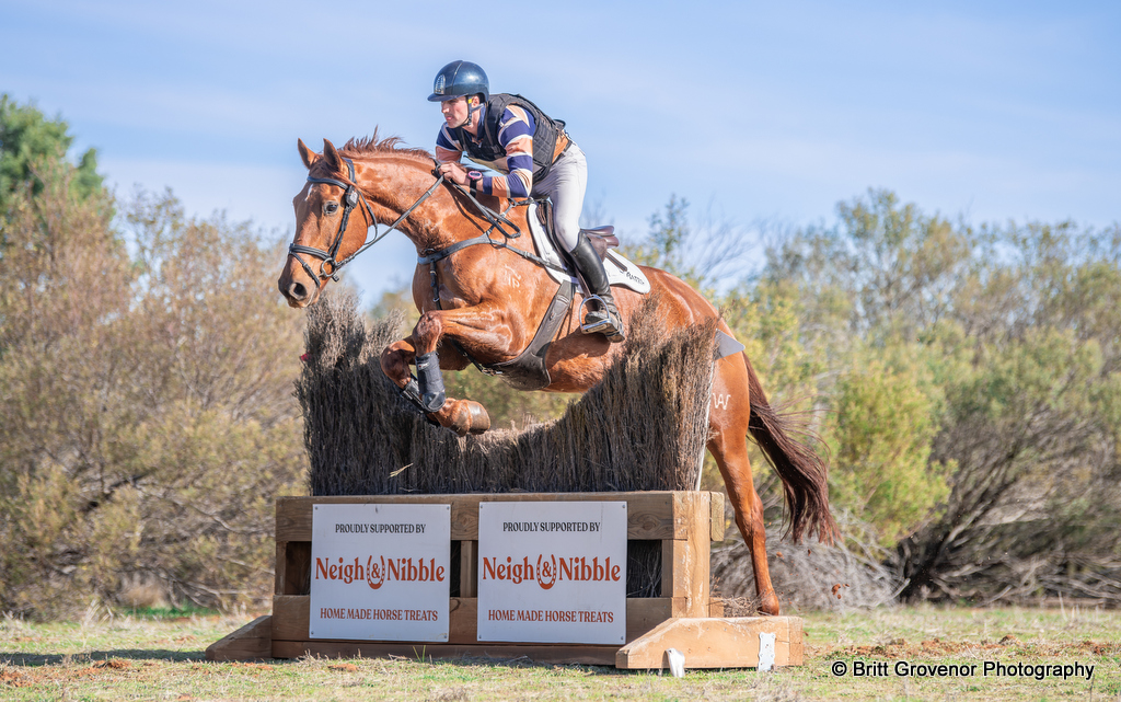 Sam Woods rides Harris Park Elliston on cross country for the EvA80 eventing class at REA Wagga Horse Trials at Narrandera 2025 | An Eventful Life