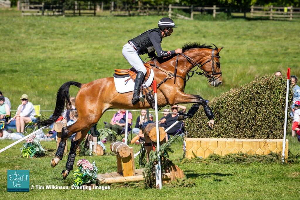 Tim Price rides Indy Du Loir on cross country in the Novice eventing at Belsay International (1) Horse Trials, May 2025 | An Eventful Life