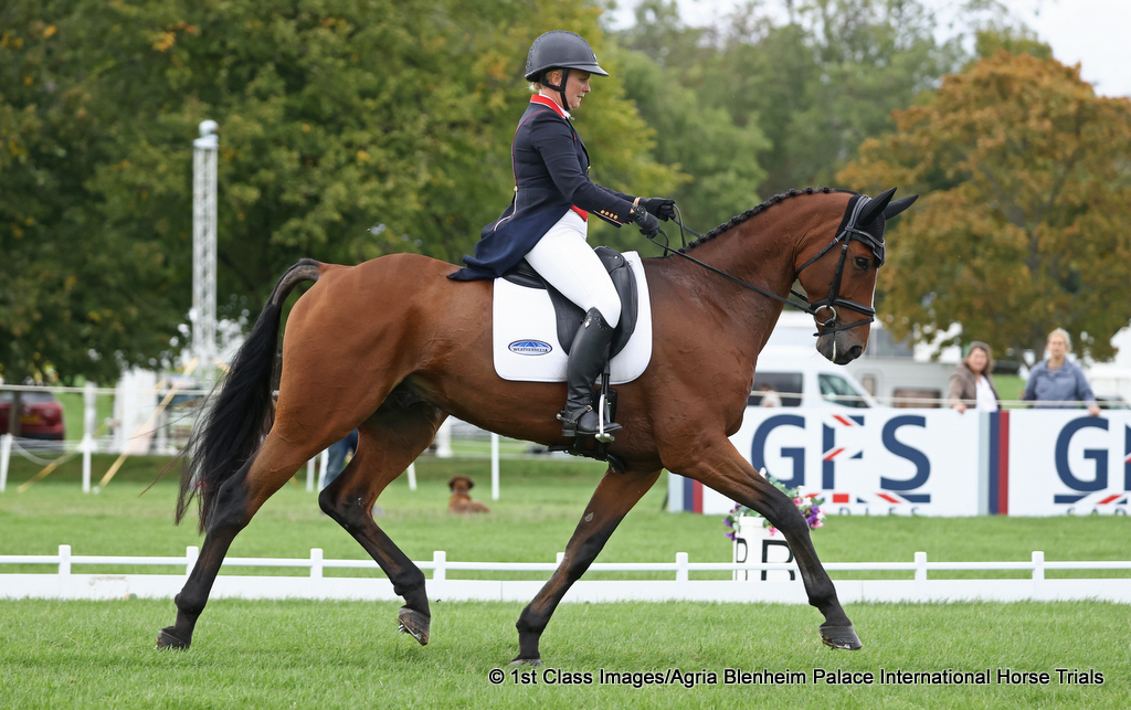 Gemma Stevens and Cooley Park Muze lead the 8/9 Year Old Eventing Horse class at Agria Blenheim Palace International Horse Trials 2025 | An Eventful Life