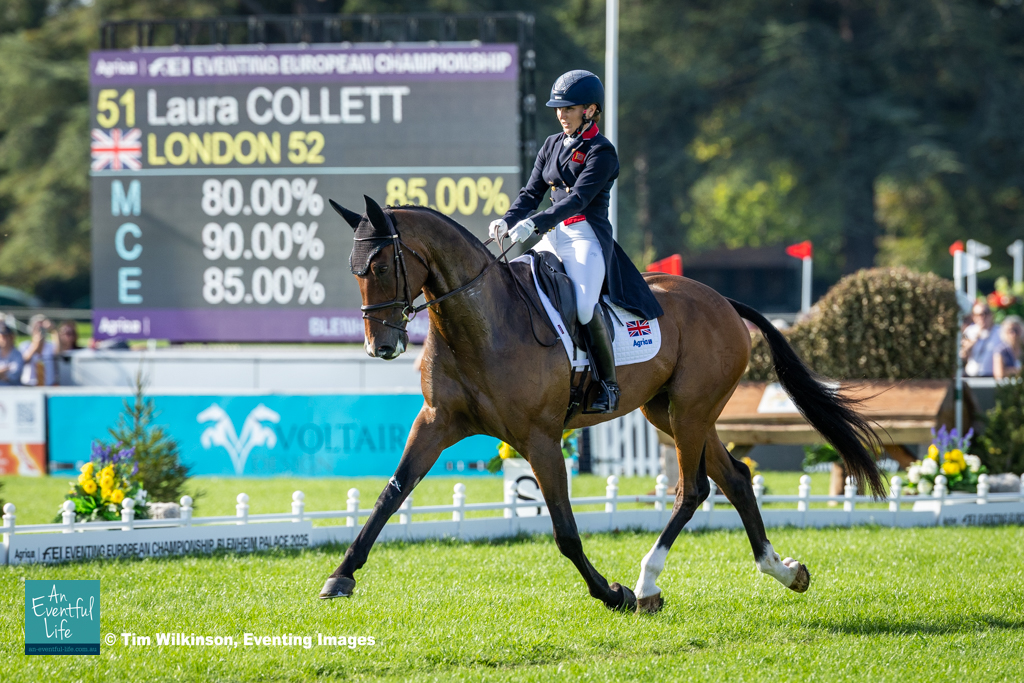 Ocke Riewerts is 2025 WBFSH Eventing Breeder of the Year