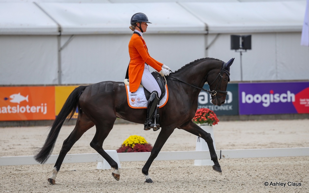 Sterre van Houte (NED) riding Crossborder Radar Love during dressage at the FEI Eventing Nations Cup CCIO4*-L at Military Boekelo (NED) 2025 | An Eventful Life