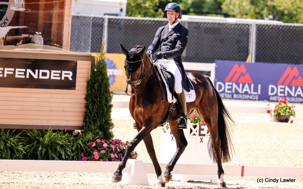 Diabolo, son of top eventing sire, Diarado | An Eventful Life