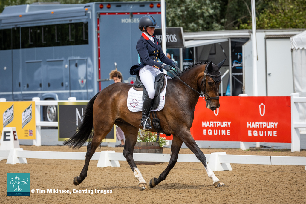 Kitty King rides Kilcoltrim Cooley during dressage for the CCI2*-L eventing at the 2025 NAF Five Star Hartpury International Horse Trials & British National Championships | An Eventful Life