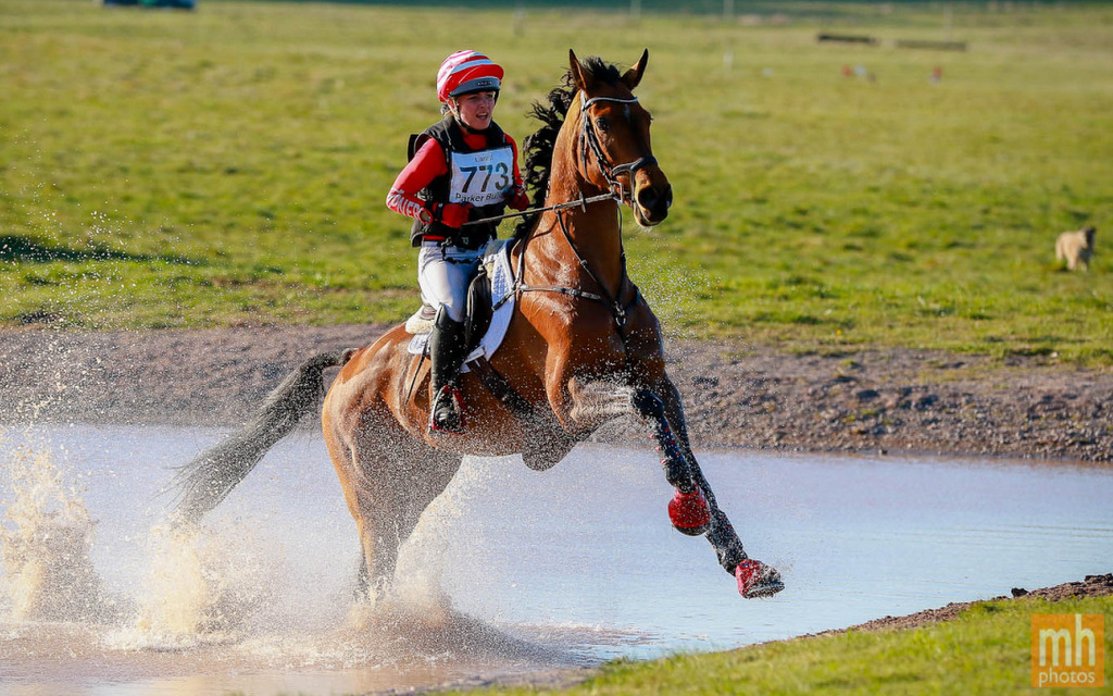 Madison Tapner rides Be Sunshine on cross country in the Novice eventing class at Larkhill Horse Trials 2025 | An Eventful Life