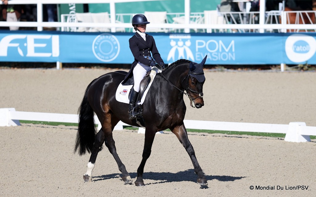 Melissa Joannides riding Graf Leopold in the 6-Year-Old class dressage at 2025 FEI WBFSH Eventing World Young Horse Championships at Le Mondial Du Lion | An Eventful Life