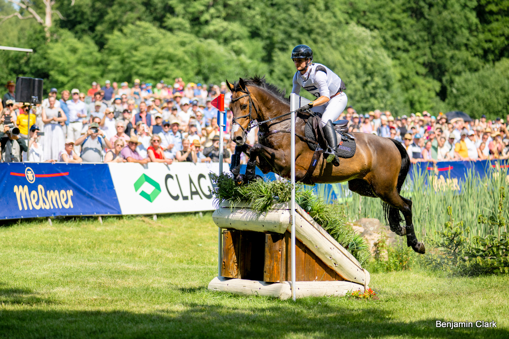 Julia Krajewski withdraws from German team selection for 2025 Agria FEI Eventing European Championships at Blenheim Palace | An Eventful Life