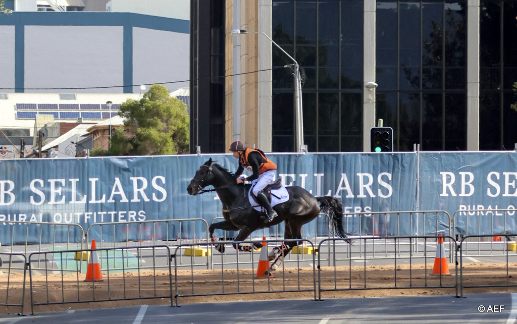 Eventing cross country action through Adelaide CBD during the Adelaide Equestrian Festival | An Eventful Life