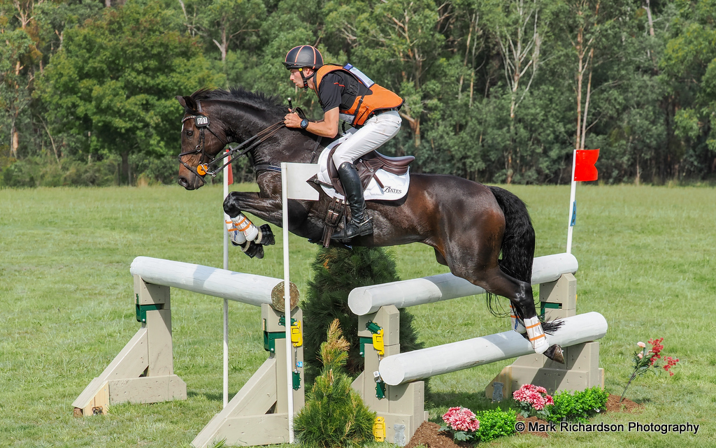 Sam Jeffree rides Santoro on cross country in the CCI4* eventing at Wandin Park International Horse Trials 2026 | An Eventful Life