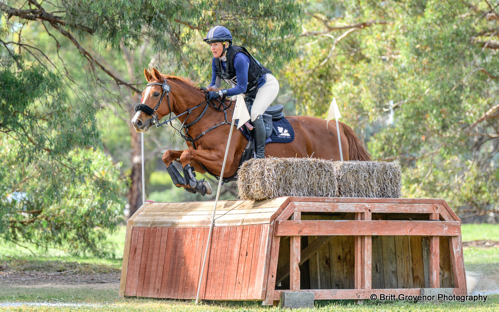 Alex Townsend rides WHF Liquorice on cross country for the CCN1* eventing at Albury Wodonga CCN Horse Trials 2026 | An Eventful Life