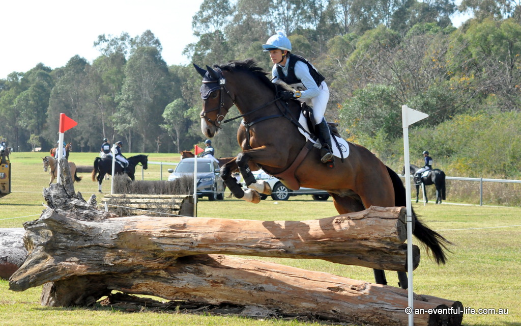 Emma Mason rides Cidor during cross country for the CCN1*-S eventing at Equestriad CCN Horse Trials 2026 at Bicentennial Park, Camden | XC Video | An Eventful Life