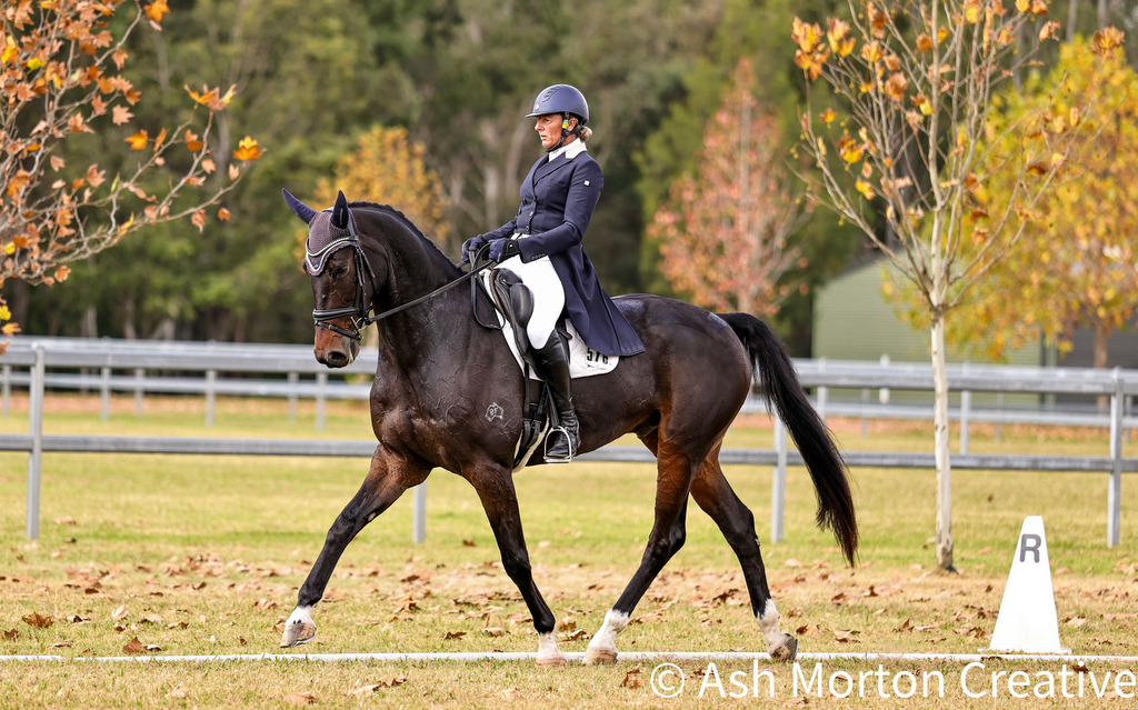 Christine Bates rides Bloomfield Findon during dressage for the CCN4*-S eventing at Equestriad CCN Horse Trials, May 2nd & 3rd 2026 at Bicentennial Park, Camden | An Eventful Life