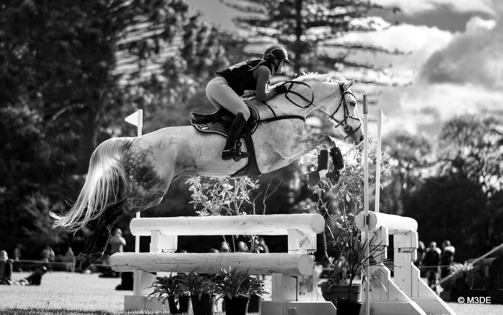 Gemma Tinney rides Fernhill Aisling Star on cross country for the CCI3*-L eventing at Melbourne International 3 Day Event 2026 | An Eventful Life