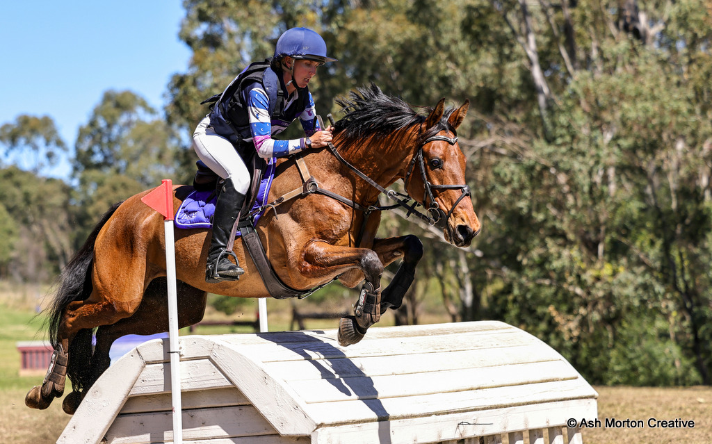 Cathryn (Catie) Herbert rides CH Don Quixote during cross country for the CCN4* eventing at Sydney Eventing Spring Classic 2026 at SIEC, 6th September 2026 | An Eventful Life