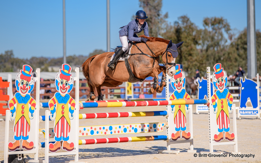 Shenae Lowings rides Wollombi Baxter during showjumping for the CCN2*-s eventing at Tamworth Eventing CCN Horse Trials (25th & 26th July 2026) at AELEC | An Eventful Life