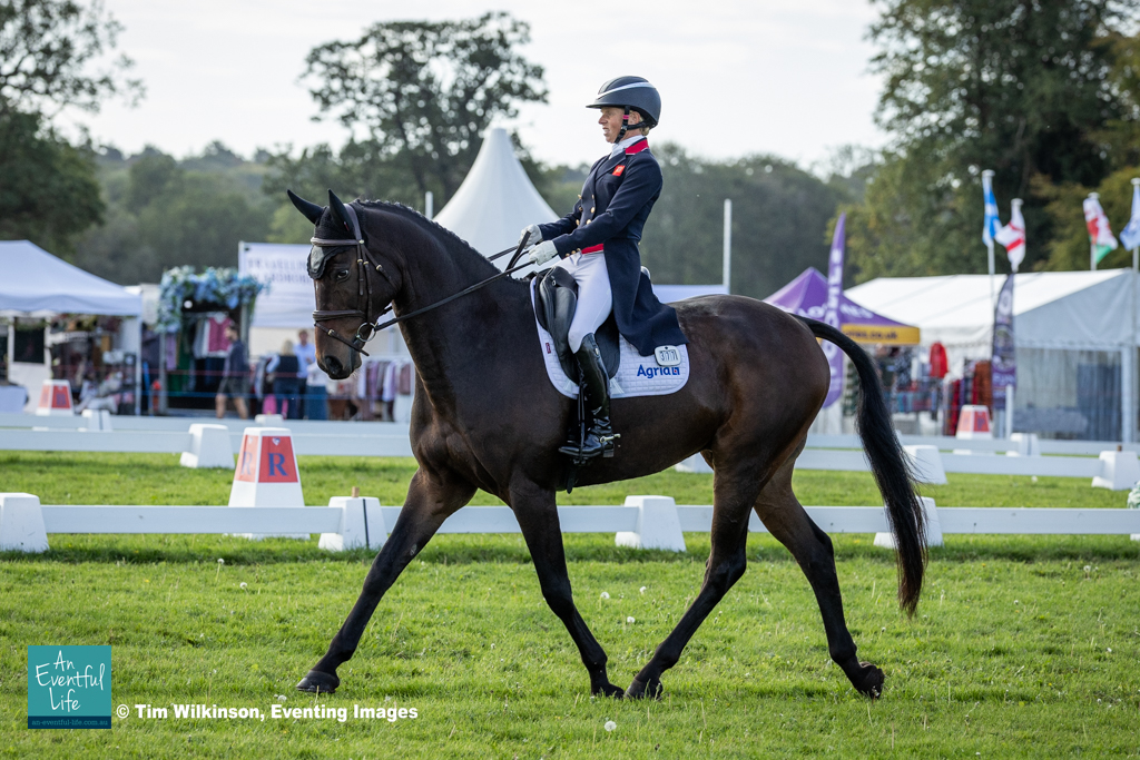 Ros Canter rides Broadstone Lion Man during dressage for the CCI3*-L eventing at Osberton (2) International Horse Trials, 1-4 October 2026 | An Eventful Life