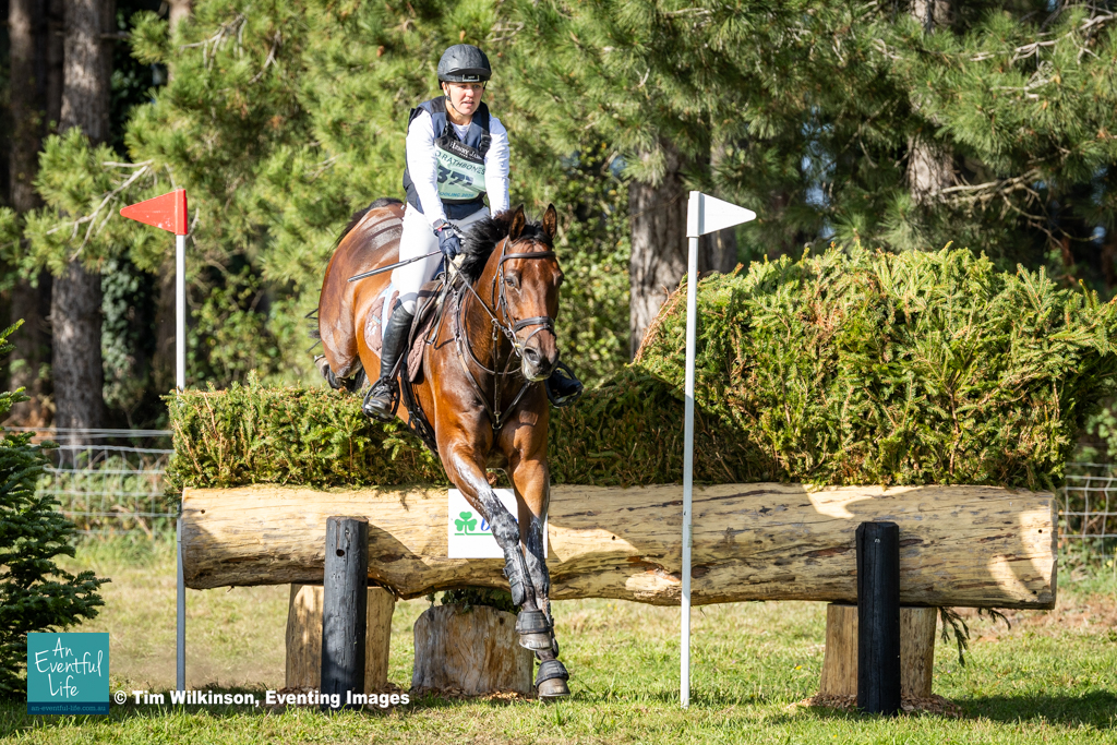 Sammi Birch rides Parkfield Artie Blou on cross country for the CCI3*-L eventing at Osberton (2) International Horse Trials, 1-4 October 2026 | An Eventful Life