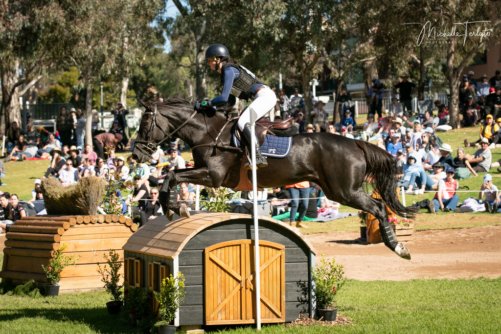 Olivia Barton rides Hollyander HG on cross country for the CCI5* eventing at Adelaide Equestrian Festival 2024 | An Eventful Life