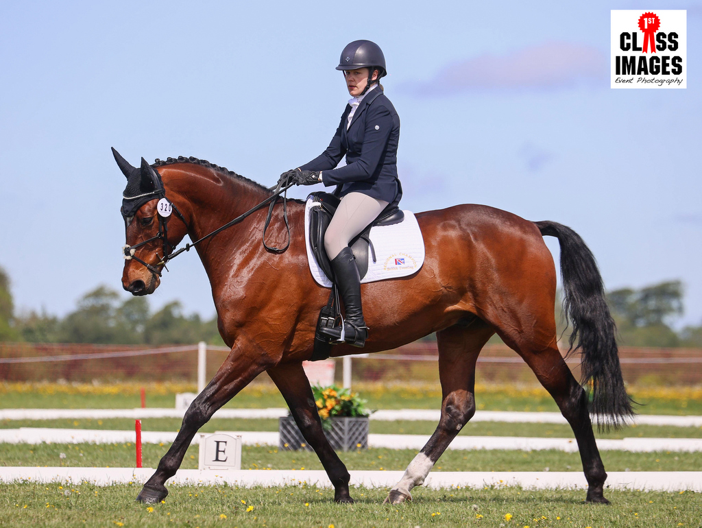 Holly Jessett rides Lombard Lad during dressage for the British Eventing BE90 Grassroots Championships at Badminton Horse Trials 2026 | An Eventful Life
