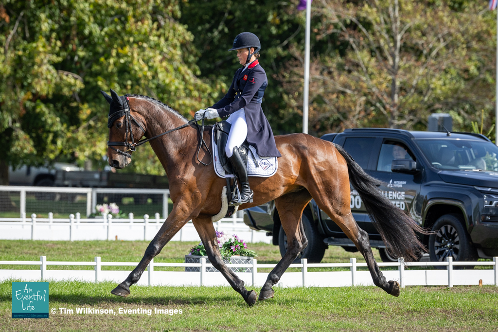 Bubby Upton rides Auckland 7 during the CCI4*-S eventing for 8/9 Year Old horses dressage at Agria Blenheim Palace International Horse Trials, 17-20 September 2026 | An Eventful Life