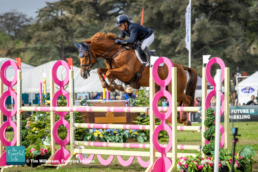 Sammi Birch rides Rosa's Party during the CCI4*-S eventing showjumping at Agria Blenheim Palace International Horse Trials, 17-20 September 2026 | An Eventful Life