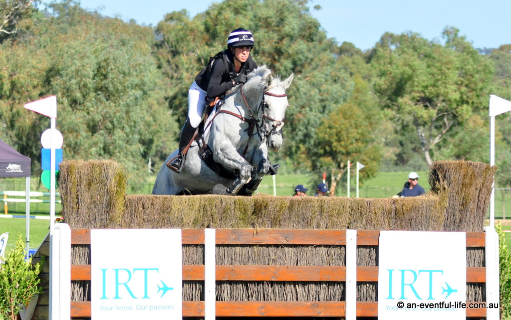 Charlotte Penny (NZL) rides Carousel on cross country for the CCI4*-S eventing at Adelaide Equestrian Festival 2026 | An Eventful Life