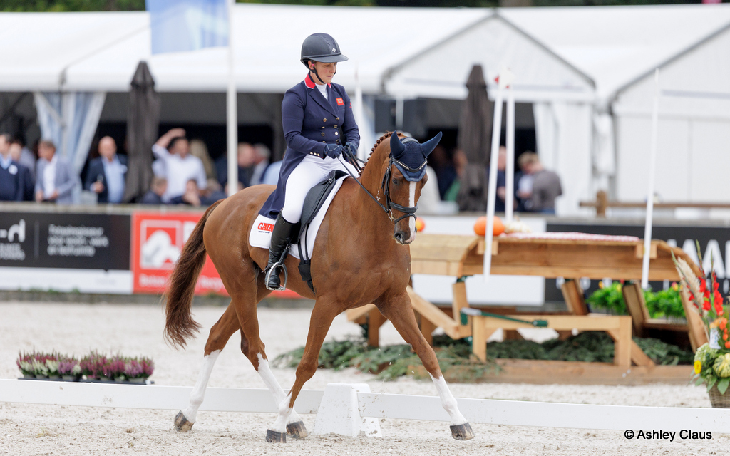 Gemma Stevens rides Chilli Morning IV during the dressage for CCIO4*-L eventing at Military Boekelo-Enschede (NED), 1-4 October 2026 | An Eventful Life