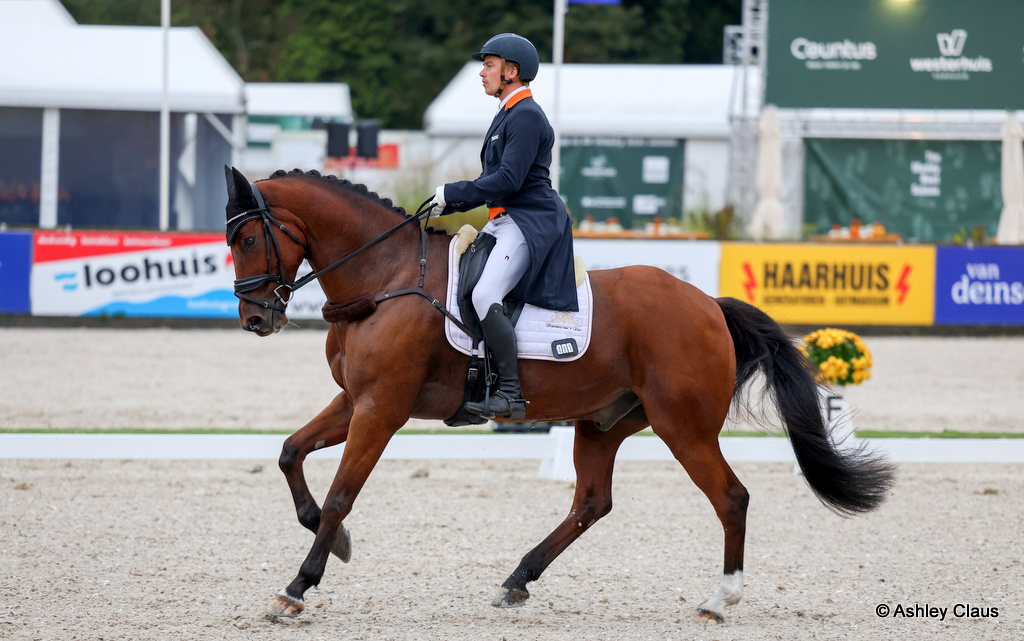 Jordy Wilken rides Champ van’t Vhij during the dressage for CCIO4*-L eventing at Military Boekelo-Enschede (NED), 1-4 October 2026 | An Eventful Life