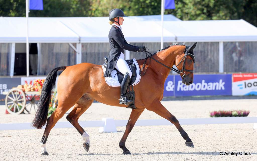 Julia Krajewski rides Ero de Cantraie during the dressage for CCIO4*-L FEI Eventing Nations Cup at Military Boekelo-Enschede (NED), 1-4 October 2026 | An Eventful Life