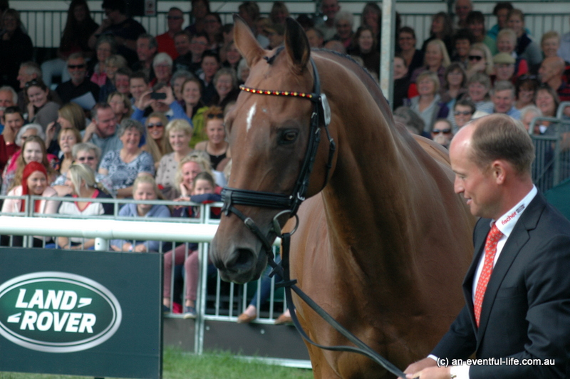 Michael Jung presents La Biosthetique Sam at the first horse inspection at Burghley Horse Trials 2015 | An Eventful Life