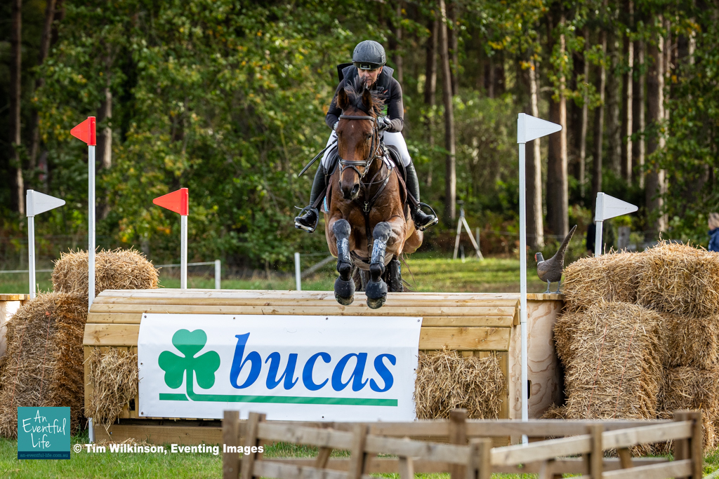 Sammi Birch rides Parkfield Artie Blou in the CCI3*-L eventing at Osberton International (2) Horse Trials 2025 | An Eventful Life