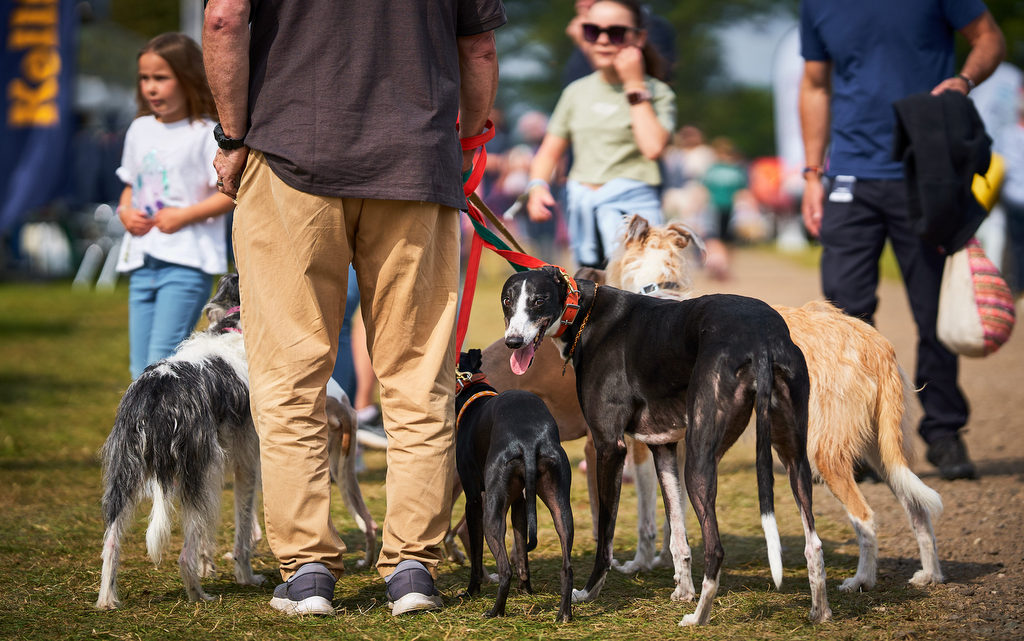 Fun for all the family, including your four-legged friends, at Scone Palace International Horse Trials 2025 | An Eventful Life